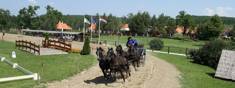 Экскурсия в замок Сиси в Гёдёллё